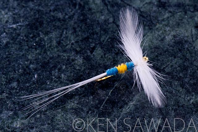 1861 FLIES by KEN SAWADA