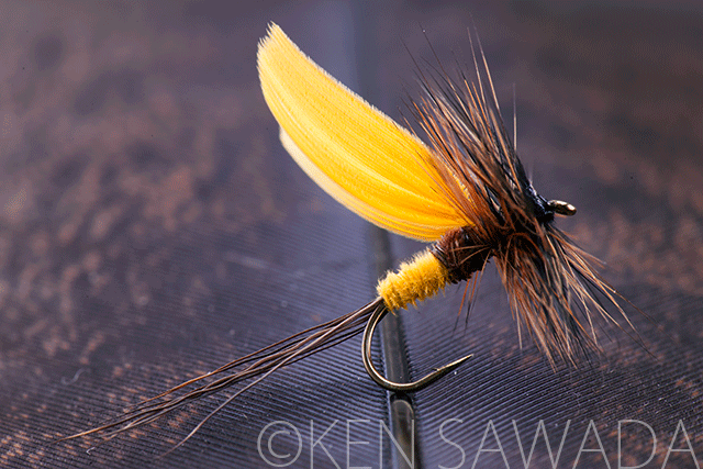 Yellow Dandy