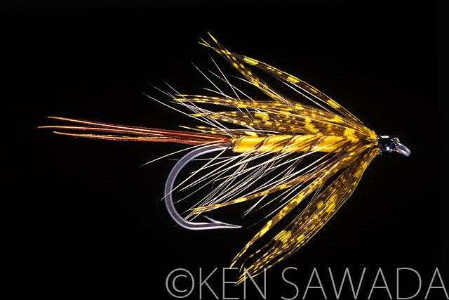1861 FLIES by KEN SAWADA