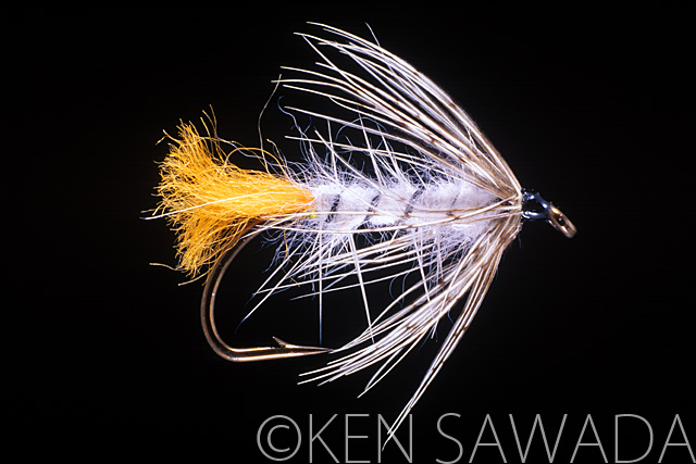 1861 FLIES by KEN SAWADA