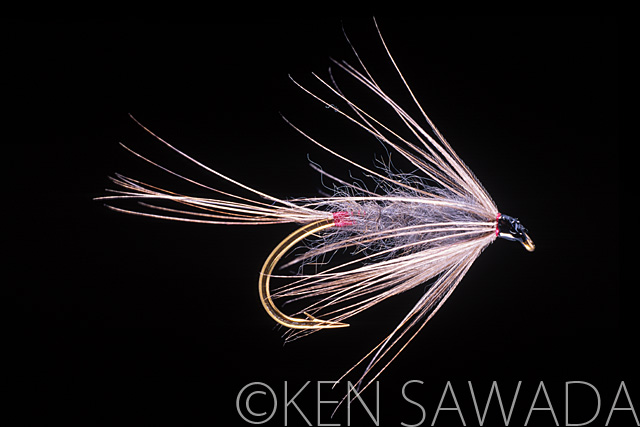 1861 FLIES by KEN SAWADA