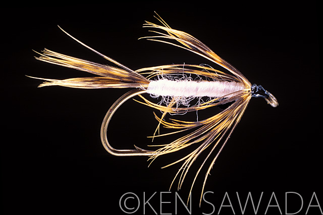 1861 FLIES by KEN SAWADA