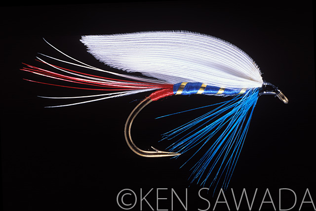1861 FLIES by KEN SAWADA