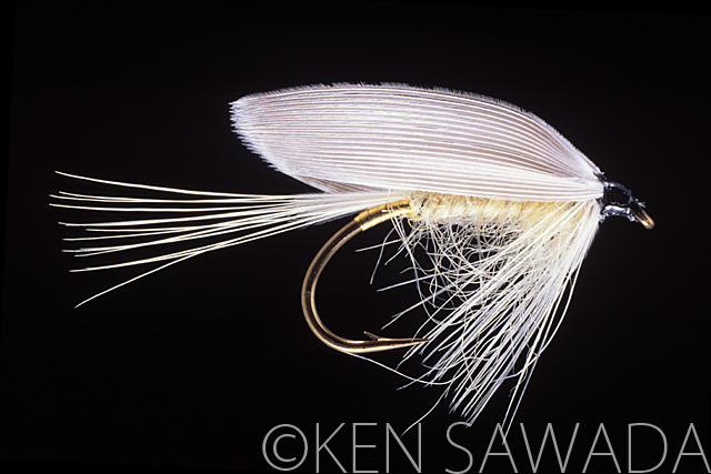 1861 FLIES by KEN SAWADA