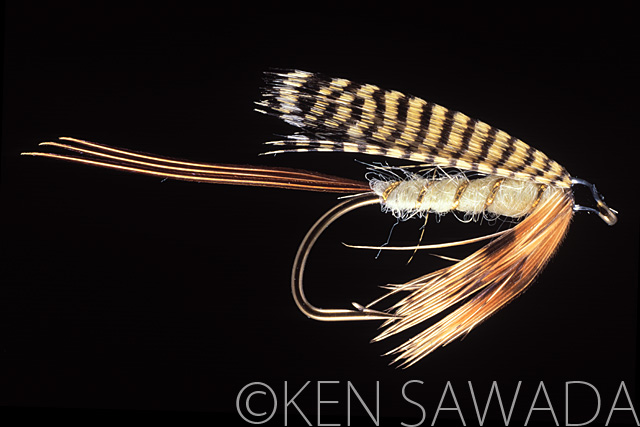 1861 FLIES by KEN SAWADA