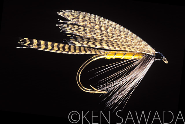 1861 FLIES by KEN SAWADA