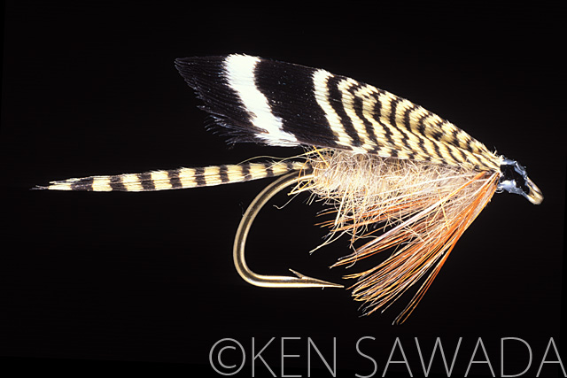 1861 FLIES by KEN SAWADA