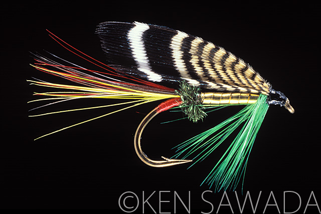 1861 FLIES by KEN SAWADA