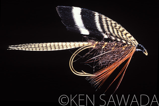 1861 FLIES by KEN SAWADA
