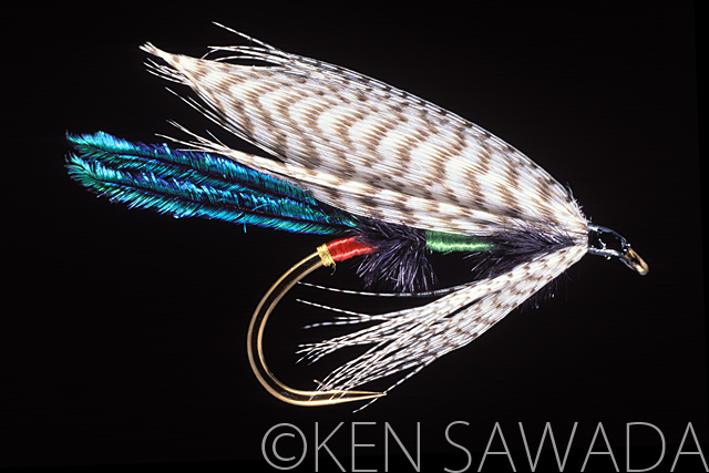 1861 FLIES by KEN SAWADA