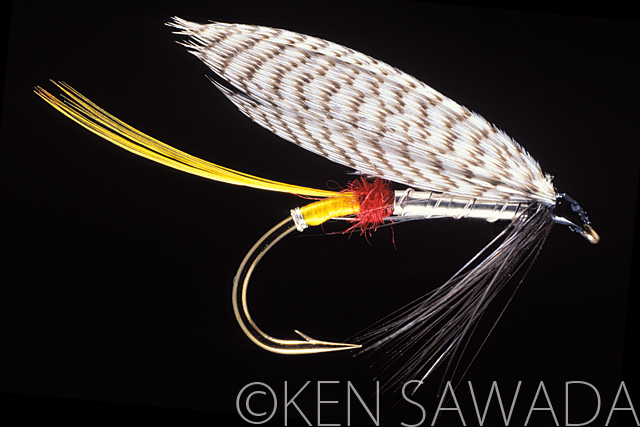 1861 FLIES by KEN SAWADA