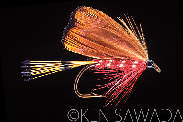 1861 FLIES by KEN SAWADA