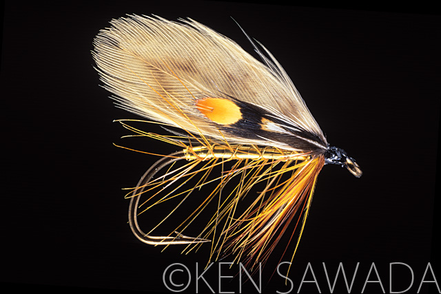 PERCH FLY