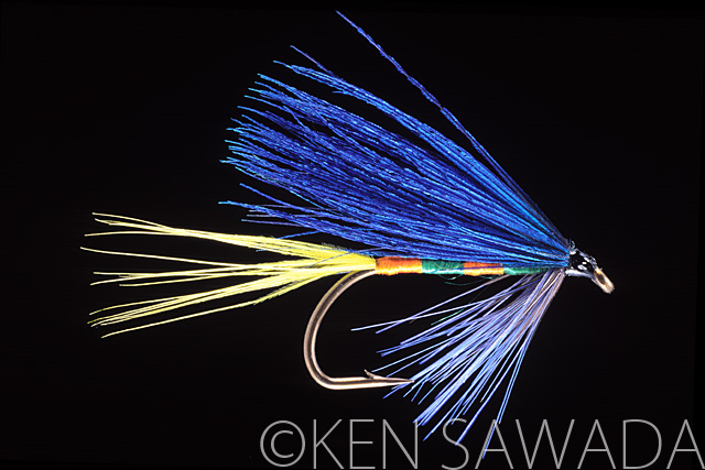 1861 FLIES by KEN SAWADA