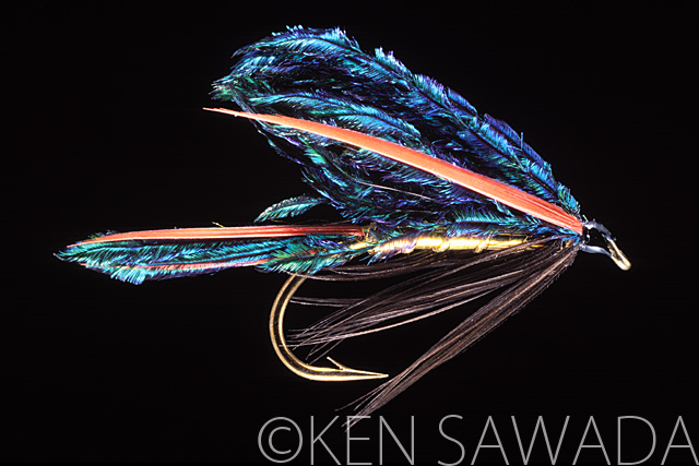 フライ羽根 　クレスト キングフィッシャー( Crested kingfisher ) ヤマセミ コンプリート 毛鉤 フライ羽根 コモン キングフィッシャー コンプリート 毛鉤2