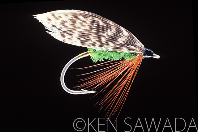 1861 FLIES by KEN SAWADA