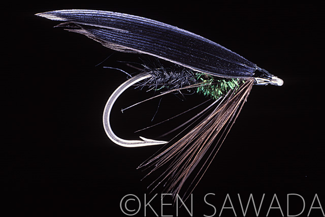 BLACK CADDIS