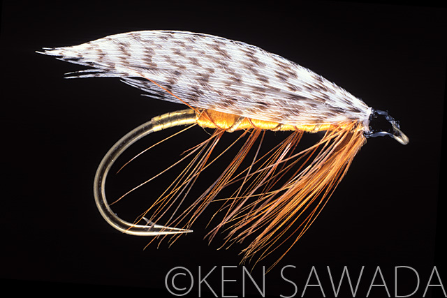 1861 FLIES by KEN SAWADA