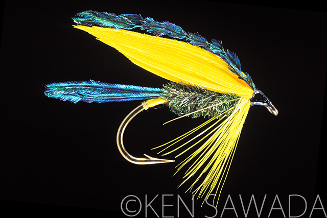 1861 FLIES by KEN SAWADA