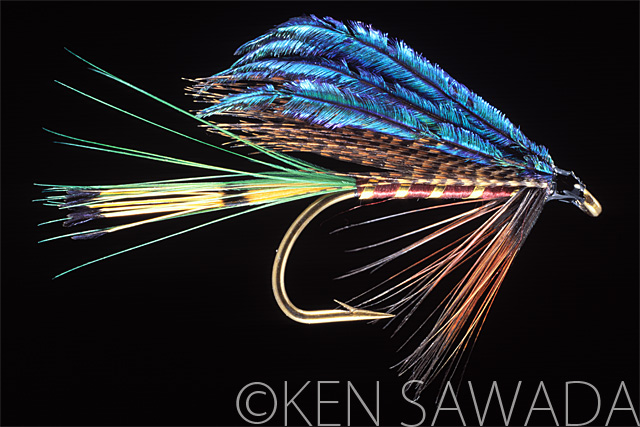 1861 FLIES by KEN SAWADA