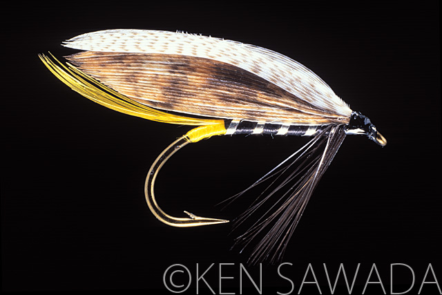 1861 FLIES by KEN SAWADA