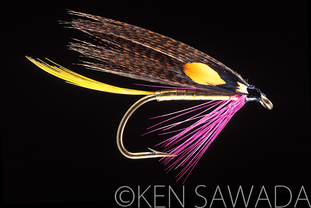 1861 FLIES by KEN SAWADA