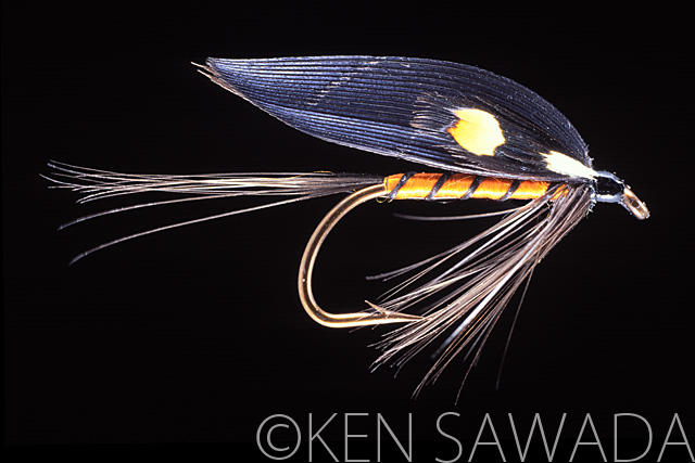 1861 FLIES by KEN SAWADA