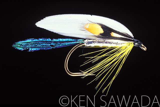 1861 FLIES by KEN SAWADA