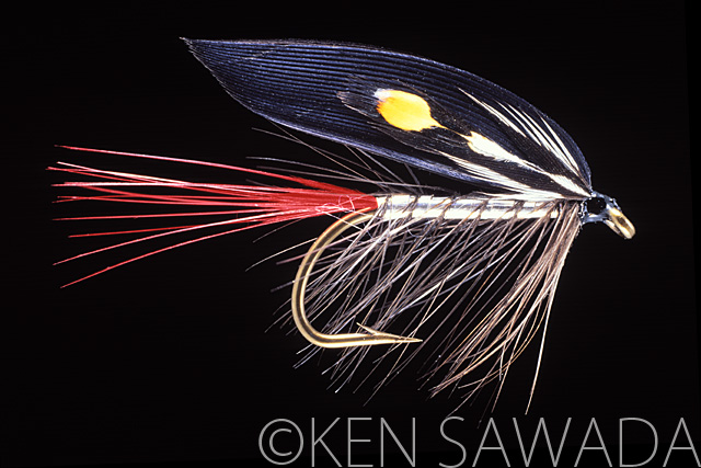1861 FLIES by KEN SAWADA