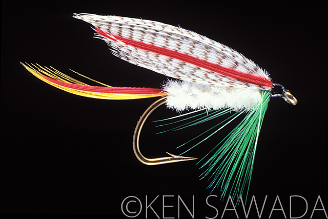 1861 FLIES by KEN SAWADA