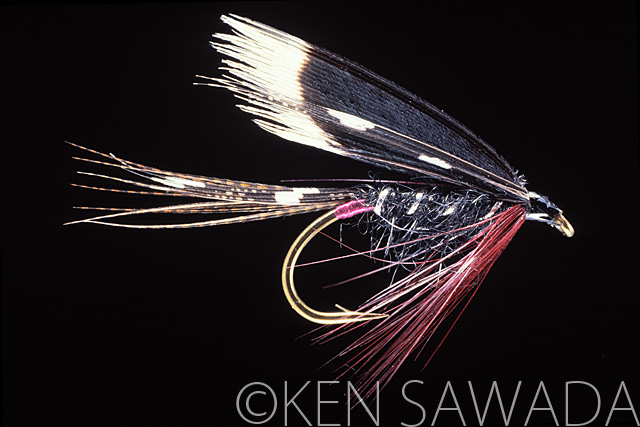 1861 FLIES by KEN SAWADA