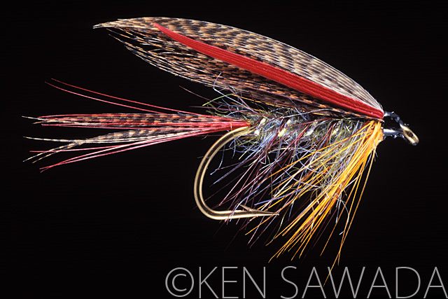 1861 FLIES by KEN SAWADA