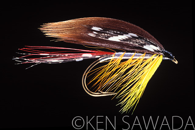 1861 FLIES by KEN SAWADA