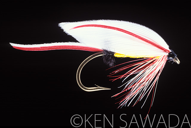1861 FLIES by KEN SAWADA