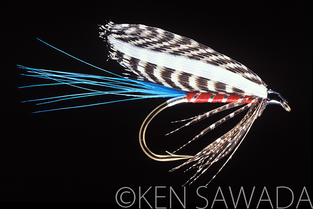 1861 FLIES by KEN SAWADA