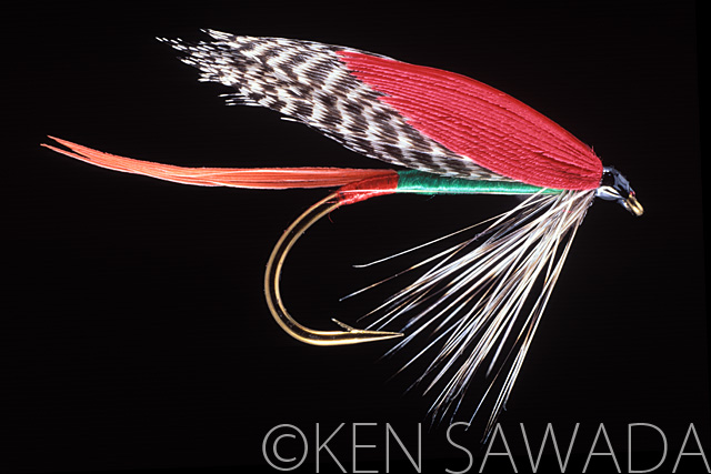 1861 FLIES by KEN SAWADA