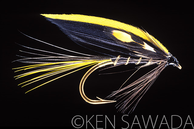 BLACK FIN
