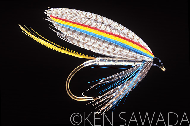 1861 FLIES by KEN SAWADA