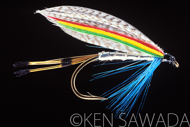 1861 FLIES by KEN SAWADA