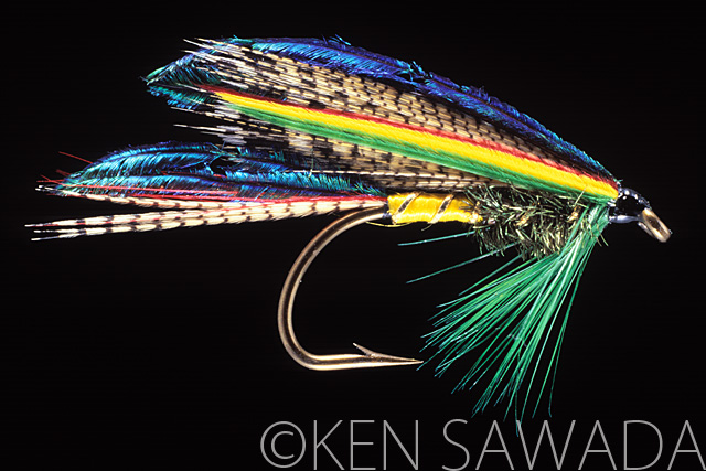 1861 FLIES by KEN SAWADA