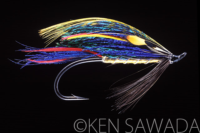 1861 FLIES by KEN SAWADA