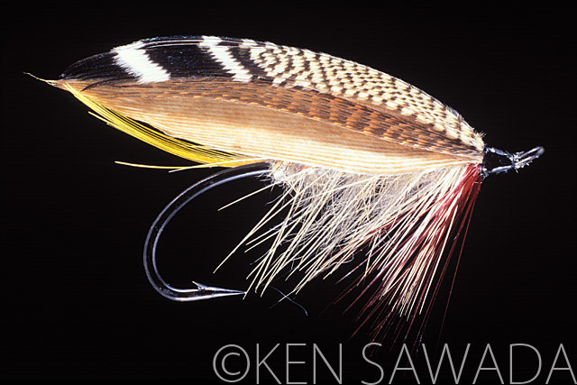 1861 FLIES by KEN SAWADA