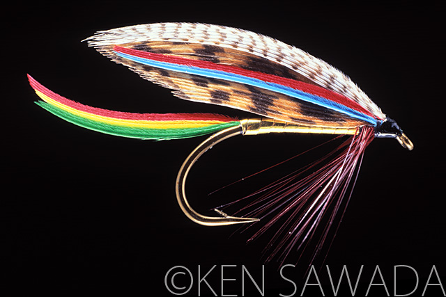 1861 FLIES by KEN SAWADA