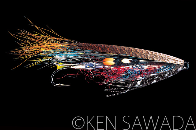 1861 FLIES by KEN SAWADA