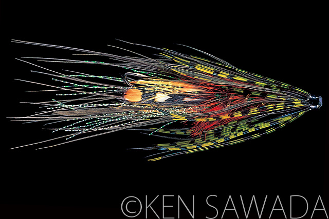 1861 FLIES by KEN SAWADA
