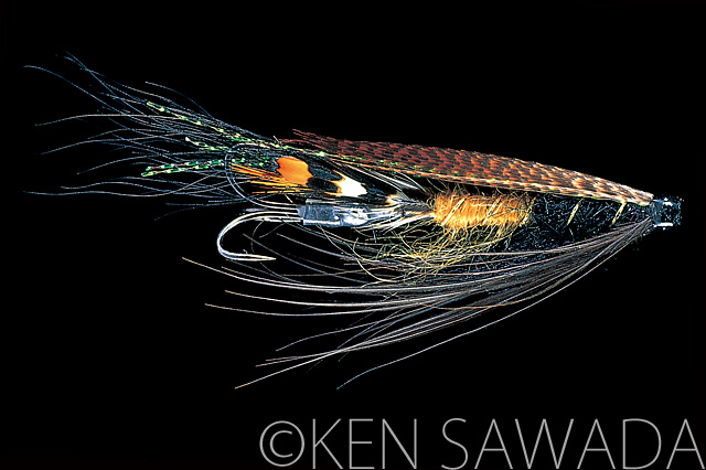 1861 FLIES by KEN SAWADA