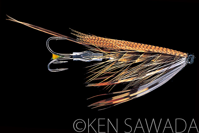 1861 FLIES by KEN SAWADA