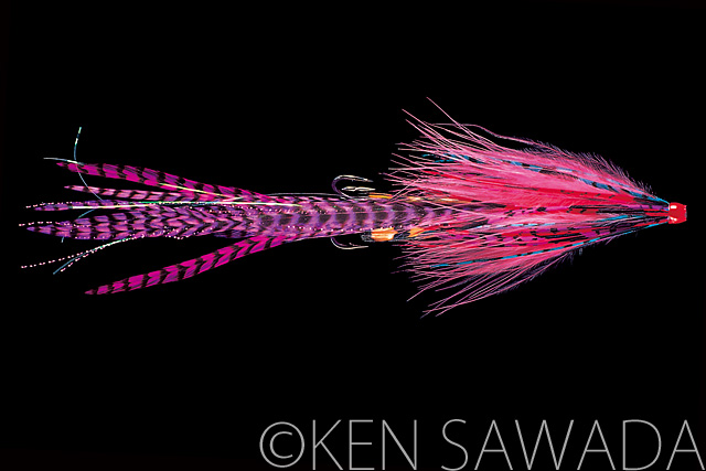 1861 FLIES by KEN SAWADA