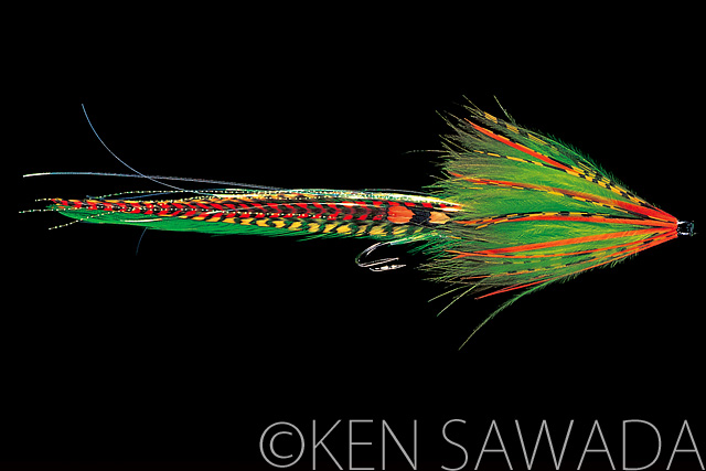 Green Highlander Long Tail