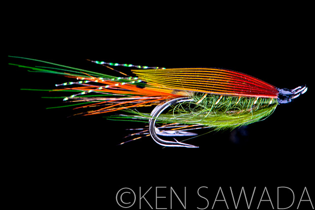 Green Squilla